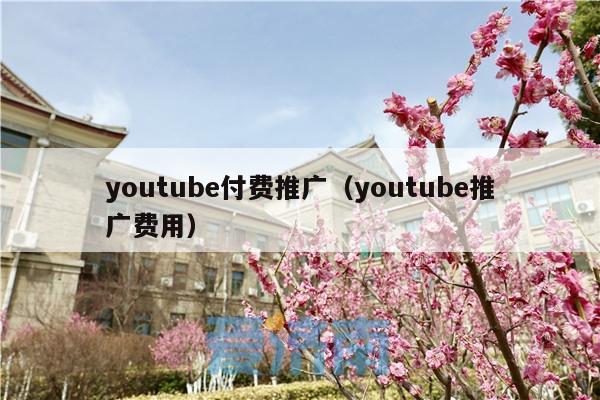 youtube付费推广(youtube推广费用)