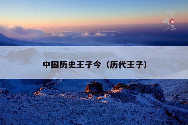 中国历史王子今(历代王子)