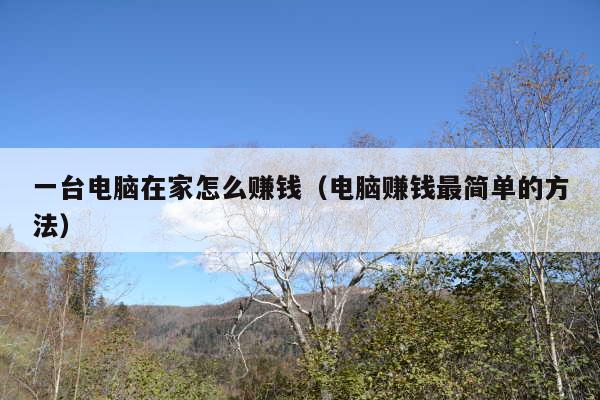 一台电脑在家怎么赚钱(电脑赚钱最简单的方法)