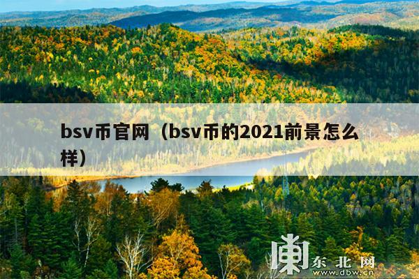 bsv币官网(bsv币的2021前景怎么样)