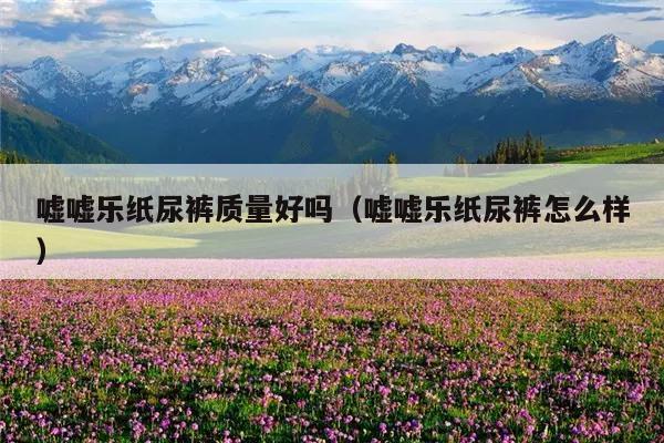 嘘嘘乐纸尿裤质量好吗(嘘嘘乐纸尿裤怎么样)