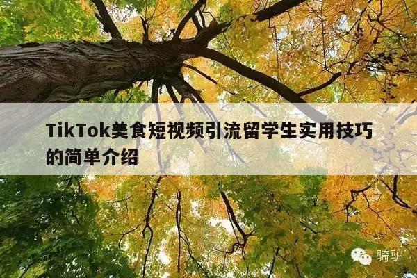 TikTok美食短视频引流留学生实用技巧的简单介绍