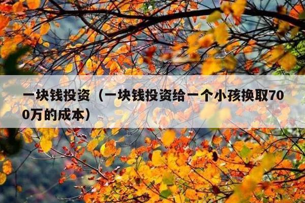 一块钱投资(一块钱投资给一个小孩换取700万的成本)