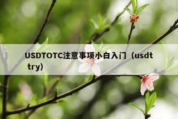 USDTOTC注意事项小白入门(usdt try)