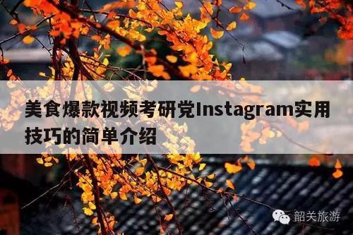 美食爆款视频考研党Instagram实用技巧的简单介绍