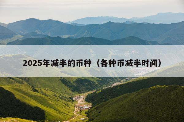2025年减半的币种(各种币减半时间)
