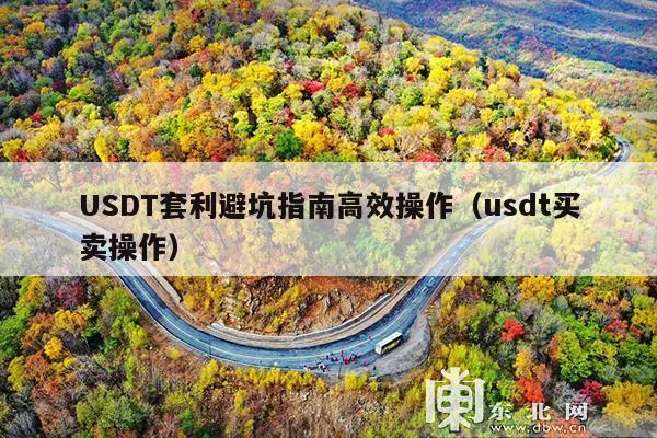 USDT套利避坑指南高效操作(usdt买卖操作)