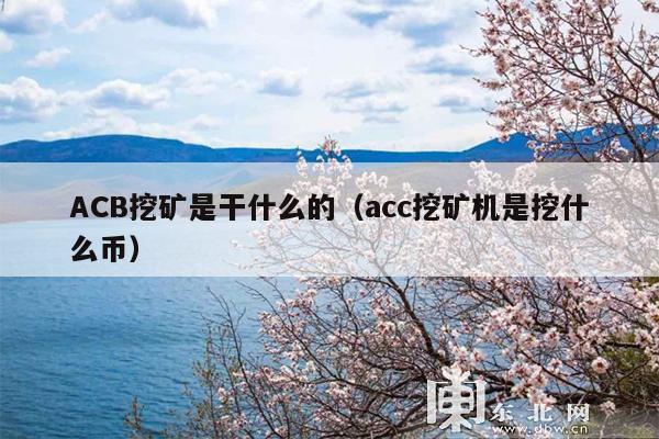 ACB挖矿是干什么的(acc挖矿机是挖什么币)