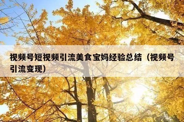 视频号短视频引流美食宝妈经验总结(视频号引流变现)