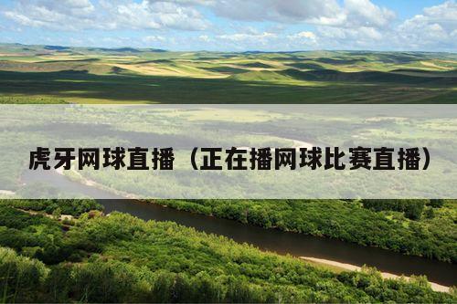 虎牙网球直播(正在播网球比赛直播)