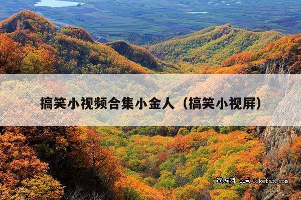 搞笑小视频合集小金人(搞笑小视屏)
