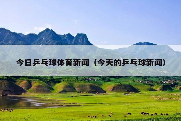 今日乒乓球体育新闻(今天的乒乓球新闻)