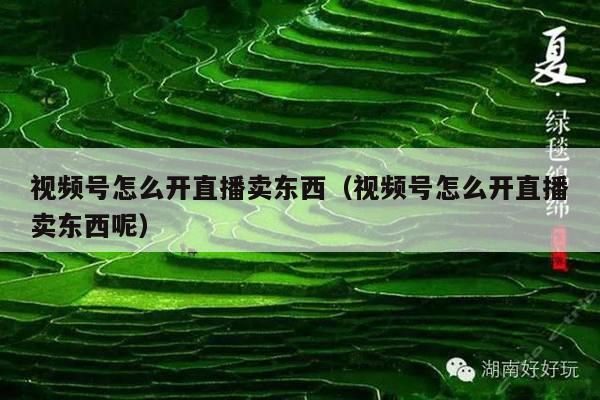 视频号怎么开直播卖东西(视频号怎么开直播卖东西呢)