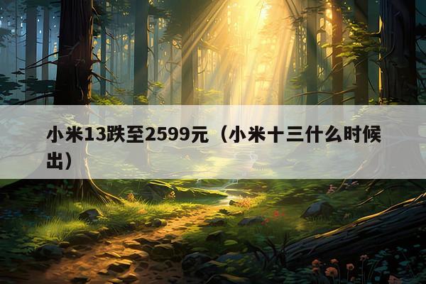 小米13跌至2599元(小米十三什么时候出)