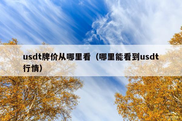 usdt牌价从哪里看(哪里能看到usdt行情)