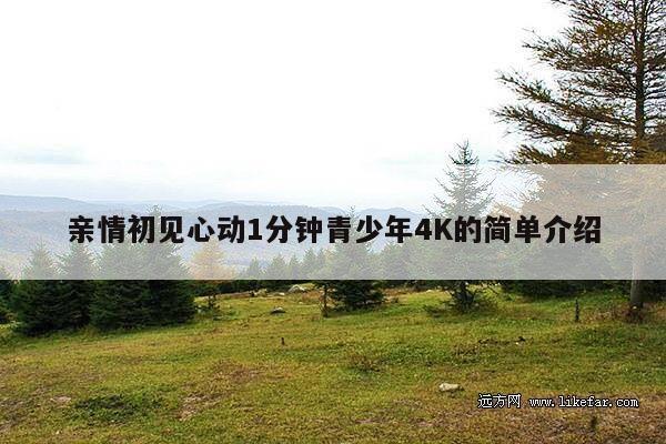 亲情初见心动1分钟青少年4K的简单介绍