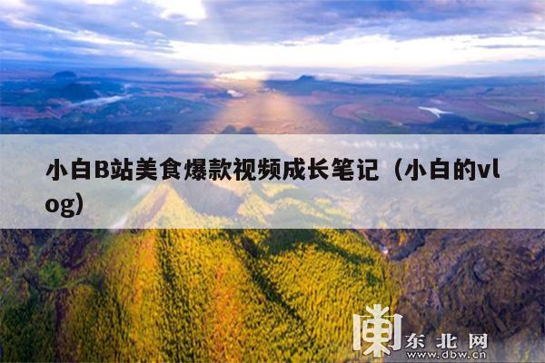 小白B站美食爆款视频成长笔记(小白的vlog)