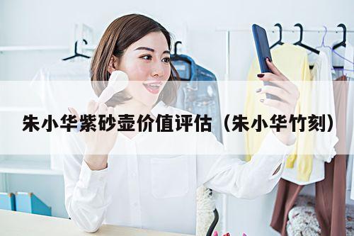 朱小华紫砂壶价值评估(朱小华竹刻)