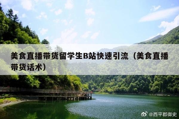 美食直播带货留学生B站快速引流(美食直播带货话术)