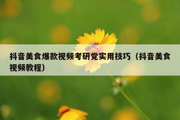 抖音美食爆款视频考研党实用技巧(抖音美食视频教程)