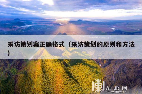 采访策划案正确格式(采访策划的原则和方法)