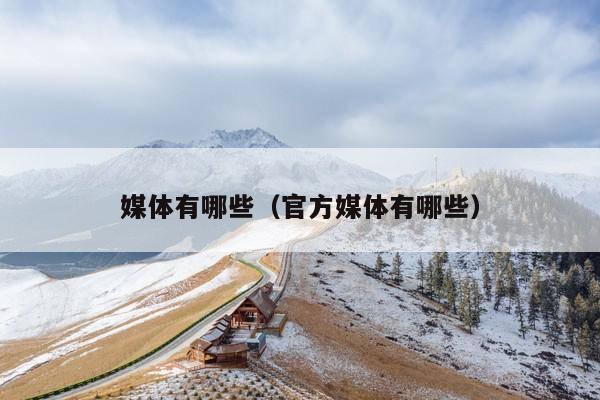 媒体有哪些(官方媒体有哪些)