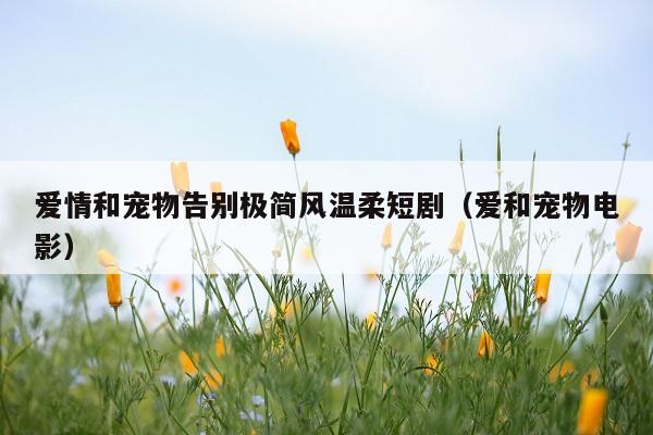 爱情和宠物告别极简风温柔短剧(爱和宠物电影)