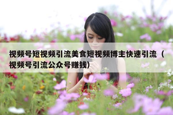 视频号短视频引流美食短视频博主快速引流(视频号引流公众号赚钱)