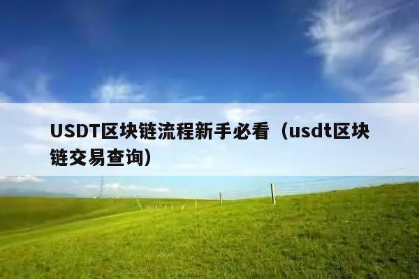 USDT区块链流程新手必看(usdt区块链交易查询)