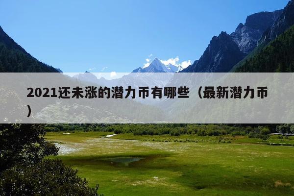2021还未涨的潜力币有哪些(最新潜力币)