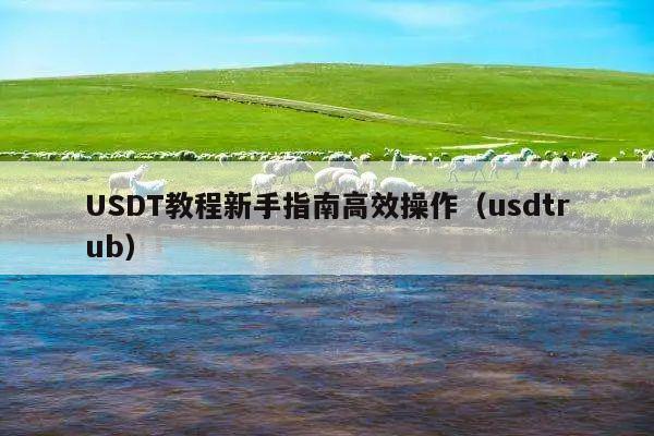 USDT教程新手指南高效操作(usdtrub)