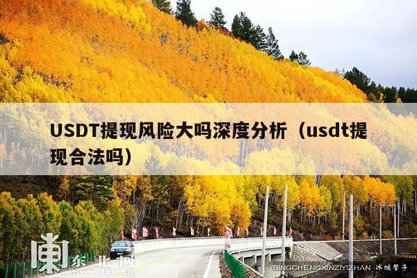 USDT提现风险大吗深度分析(usdt提现合法吗)