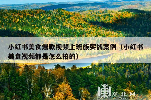 小红书美食爆款视频上班族实战案例(小红书美食视频都是怎么拍的)