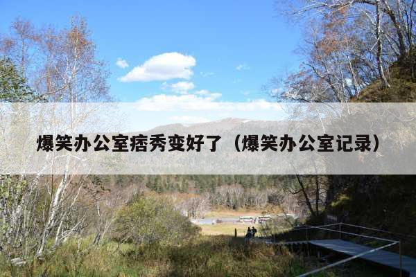 爆笑办公室痞秀变好了(爆笑办公室记录)