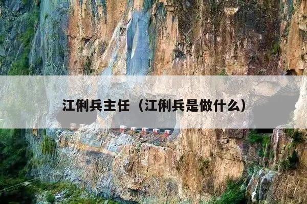 江俐兵主任(江俐兵是做什么)