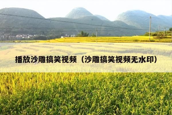 播放沙雕搞笑视频(沙雕搞笑视频无水印)