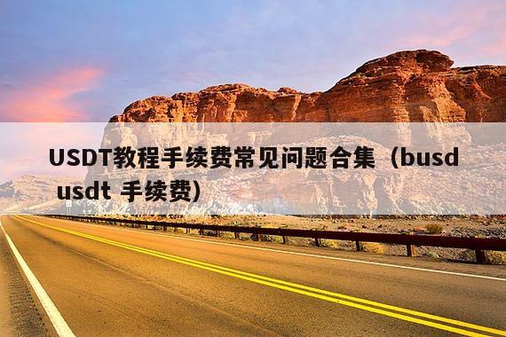 USDT教程手续费常见问题合集(busd usdt 手续费)