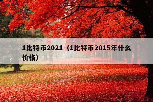 1比特币2021(1比特币2015年什么价格)