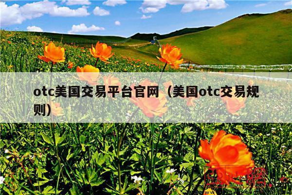 otc美国交易平台官网(美国otc交易规则)