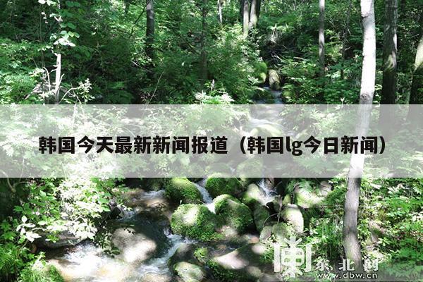 韩国今天最新新闻报道(韩国lg今日新闻)
