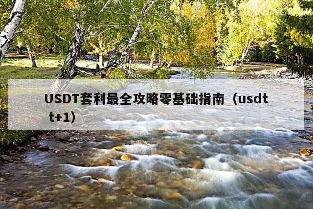 USDT套利最全攻略零基础指南(usdt t+1)