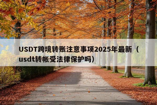 USDT跨境转账注意事项2025年最新(usdt转帐受法律保护吗)
