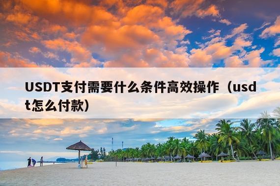 USDT支付需要什么条件高效操作(usdt怎么付款)