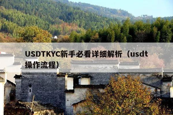USDTKYC新手必看详细解析(usdt操作流程)