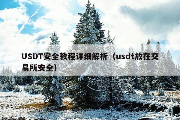 USDT安全教程详细解析(usdt放在交易所安全)
