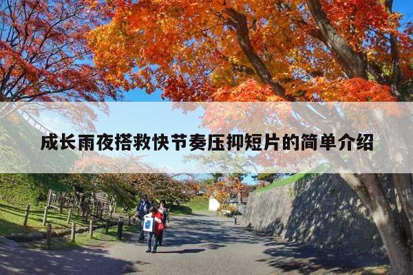 成长雨夜搭救快节奏压抑短片的简单介绍