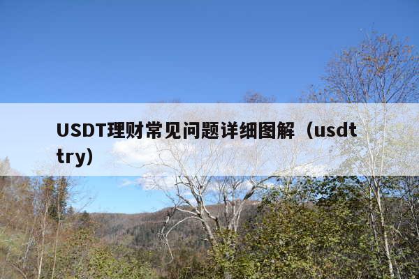 USDT理财常见问题详细图解(usdt try)