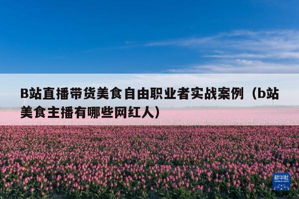 B站直播带货美食自由职业者实战案例(b站美食主播有哪些网红人)