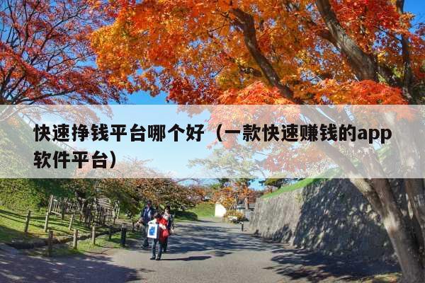 快速挣钱平台哪个好(一款快速赚钱的app软件平台)