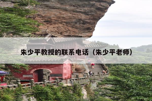 朱少平教授的联系电话(朱少平老师)